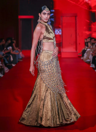 Mandira bronze lehenga set