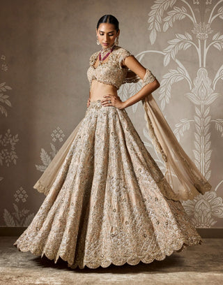 Ziva champagne lehenga set