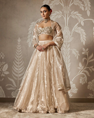 Zarish water gold lehenga set