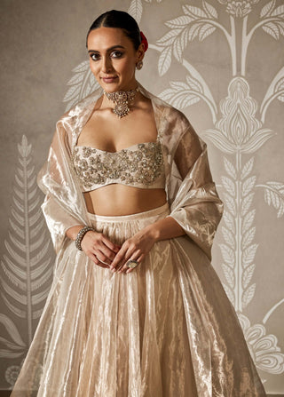 Zarish water gold lehenga set