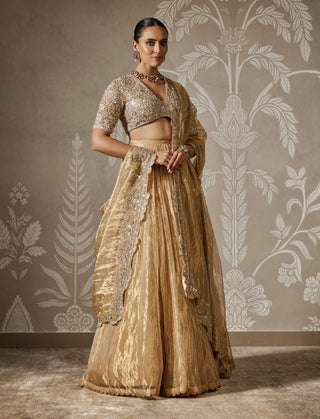 Suhaila deep gold lehenga set