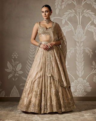 Arnika gunmetal gold lehenga set