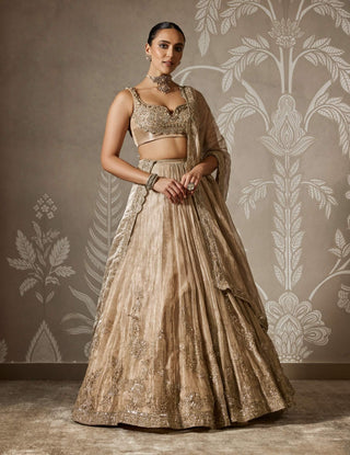 Arnika gunmetal gold lehenga set