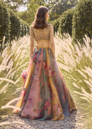 Grace multicoloured lehenga set