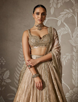 Arnika gunmetal gold lehenga set