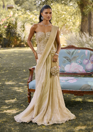 Golden era gunmetal sari with corset