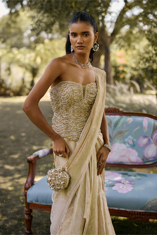 Golden era gunmetal sari with corset