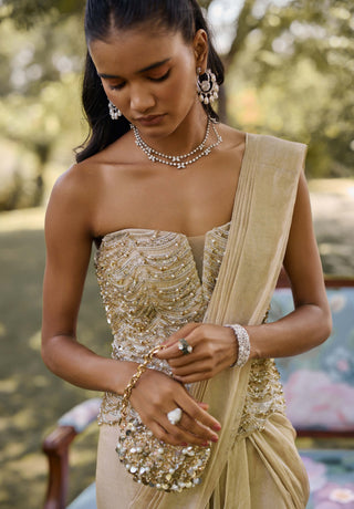 Golden era gunmetal sari with corset
