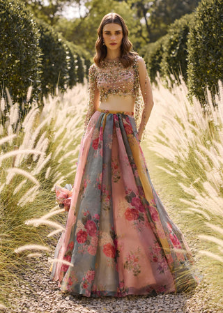 Grace multicoloured lehenga set