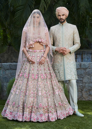 Ameera pink lehenga set