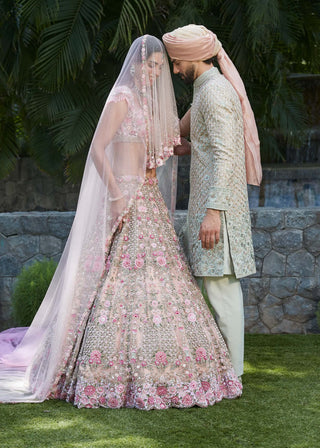 Ameera pink lehenga set