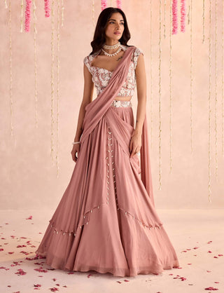 Champagne choli and lehenga with attached dupatta