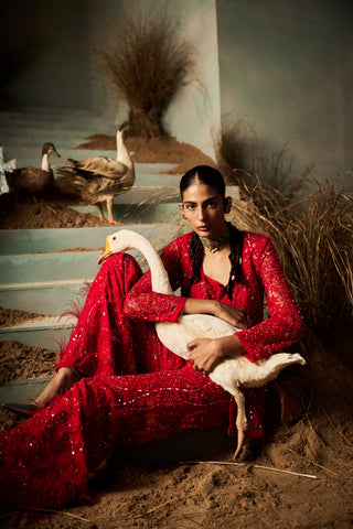 Inaya red embellished peplum pant set