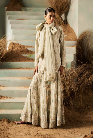 Daphne mint embellished kurta garara set