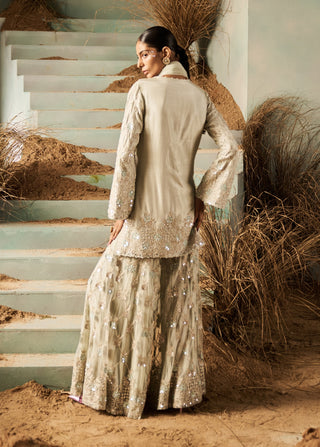 Daphne mint embellished kurta garara set