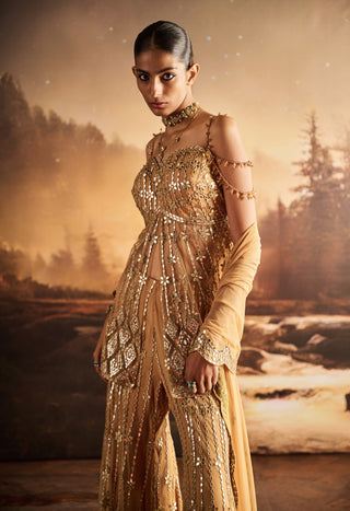 Estelle golden mirror tube peplum sharara set