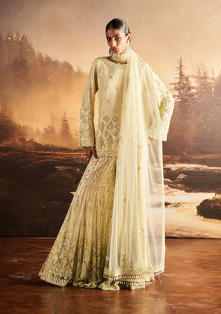 Eden ice mint embellished kurta sharara set