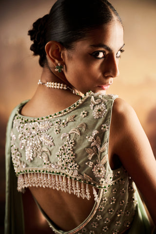 Mapple mint embellished sari with blouse