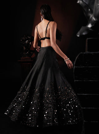 Roqa-Black Lehenga And Cape Set-INDIASPOPUP.COM