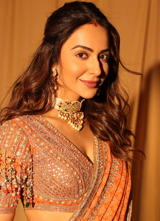 Orange printed georgette sari set