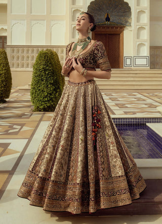 Rajsi noor lehenga set