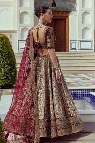 Rajsi noor lehenga set