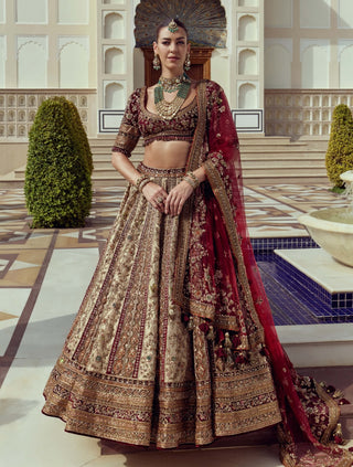 Rajsi noor lehenga set