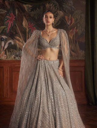 Regal gray lehenga set