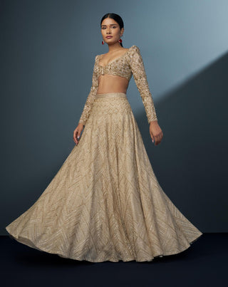 Aurielle gold blouse and lehenga set