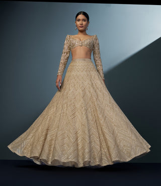 Aurielle gold blouse and lehenga set