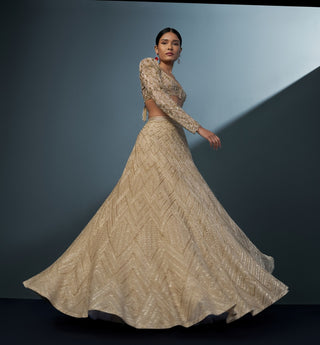 Aurielle gold blouse and lehenga set