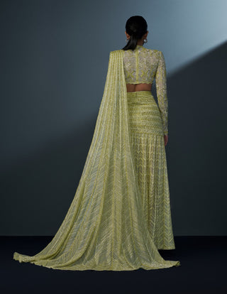 Neona arctic lime blouse and slit sari