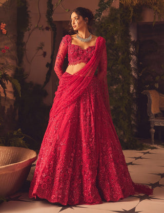 Roseate magenta lehenga set