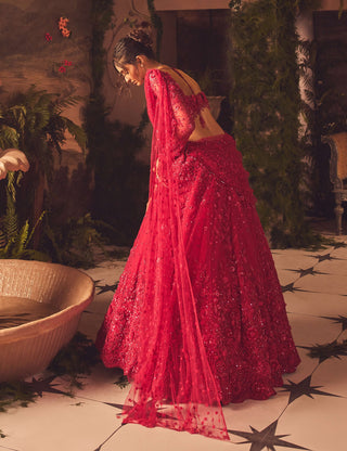 Roseate magenta lehenga set