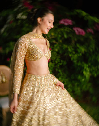 Golden reverie lehenga set