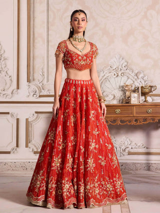 Rust organza lehenga set