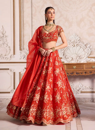 Rust organza lehenga set