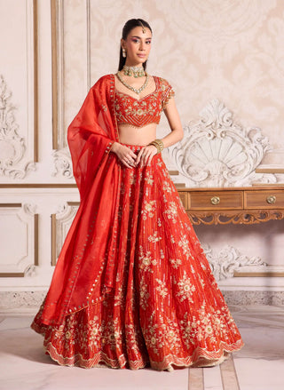 Rust organza lehenga set