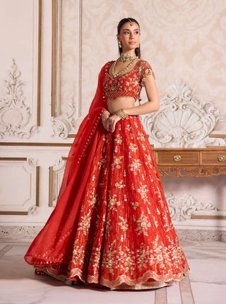Rust organza lehenga set