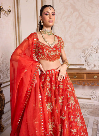 Rust organza lehenga set