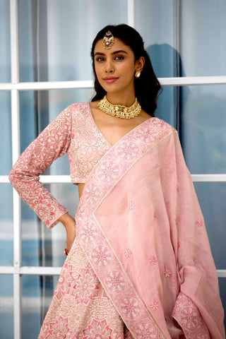 Blush blossom hand embellished lehenga set