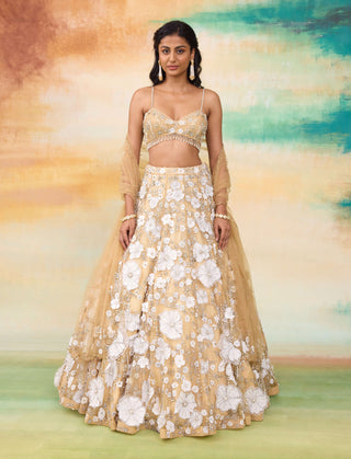 Bella golden haze lehenga set