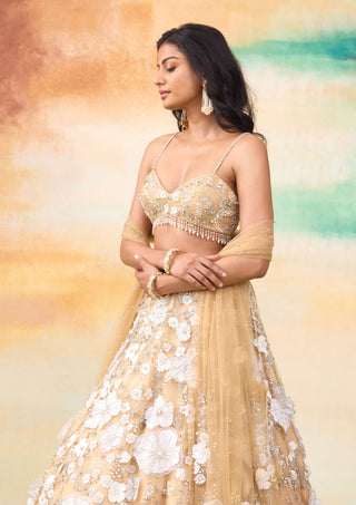 Bella golden haze lehenga set