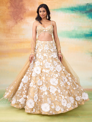 Bella golden haze lehenga set