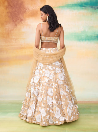 Bella golden haze lehenga set