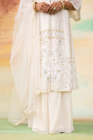 Anastasia ivory organza kurta set