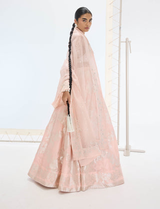 Peach mia lehenga set
