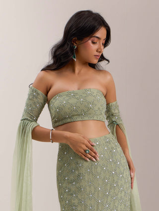 Silky Bindra Lenore Mint Green Mermaid Lehenga And Blouse available on indiaspopup