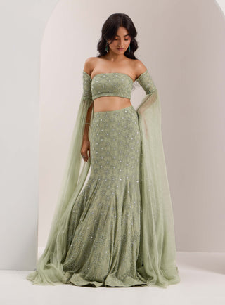 Lenore mint green mermaid lehenga and blouse