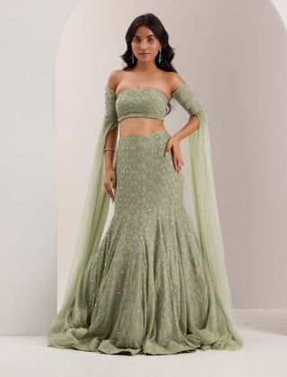 Lenore mint green mermaid lehenga and blouse